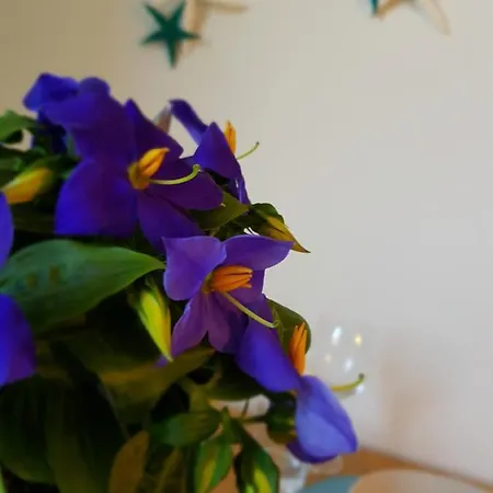 Homestay szállás Kotwica Puck