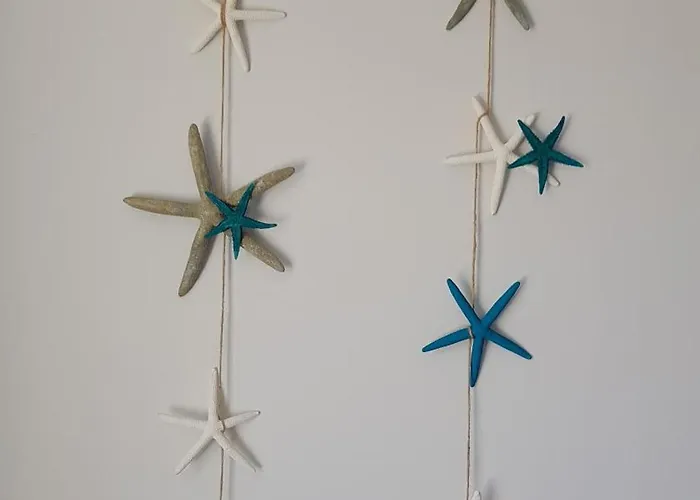 民宿 Kotwica 帕克